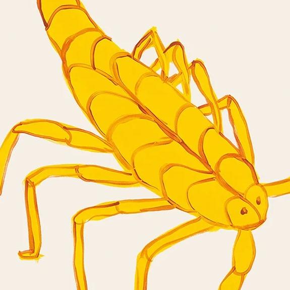 2020s David Shrigley Scorpio Signs of the Zodiac Lithograph Poster (The Scorpion), 2021 For Sale - Image 5 of 5