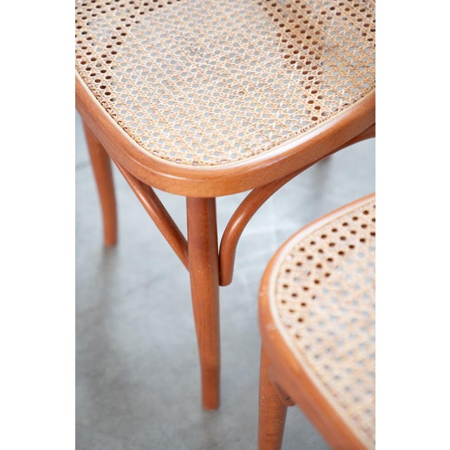 Chairs in Curved Beech Wood and Straw Seat, 1990s, Set of 6 For Sale - Image 6 of 17