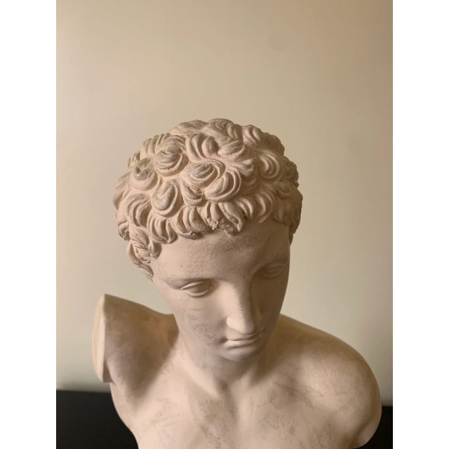 Vintage Classical Plaster Male Bust of Hermes Sculpture For Sale - Image 4 of 9