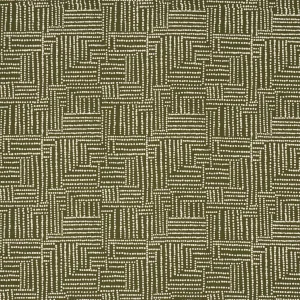 Schumacher X Johanna Ortiz Coco Hand Screen Print Fabric In Palm Tree Green