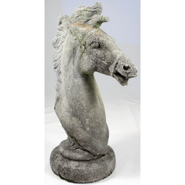 1960s Immense Vintage Cast Cement, Concrete Horse Head Sculpture For Sale In Nashville - Image 6 of 14