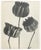 Photography Karl Bossfeldt Urformen Der Kunst Photogravures, 9 For Sale - Image 7 of 16