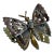 Vintage Capri 1960s Gold Tone Openwork Butterfly Brooch Florentine Enamel Statement Pin Capri Signed For Sale