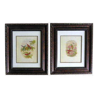 Pair of John Gould Humming Bird Lithographs Prints 1st Edition Framed For Sale