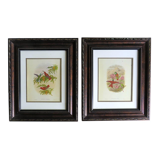 Pair of John Gould Humming Bird Lithographs Prints 1st Edition Framed For Sale