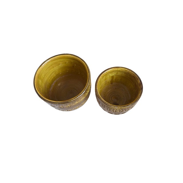 Mid-Century Modern Two Aldo Londi for Bitossi Ceramic Mustard Flower Pots For Sale - Image 3 of 8