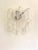 Transparent vintage “CURLS” wall sconces. “RICCIO” is a glass element of hight italian handcraftsman made in Murano. A...
