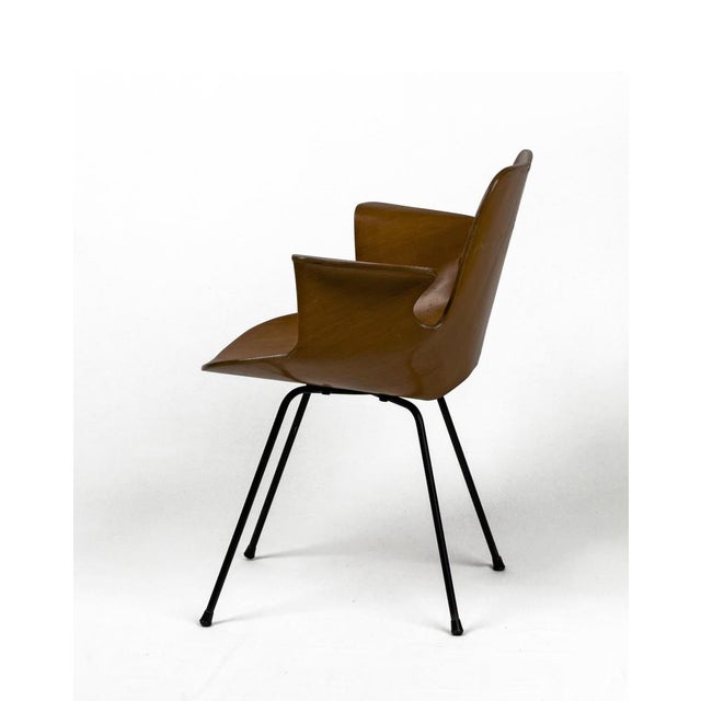 1950s Vintage Bentwood Medea Chair by Vittorio Nobili for Fratelli Tagliabue, Italy, 1950s For Sale - Image 5 of 10