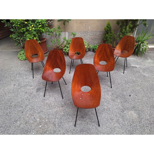 Chairs by Vittorio Nobili for Medea, 1950s, Set of 6 For Sale - Image 9 of 14