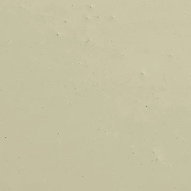 Contemporary BACKDROP Standard Finish Interior Paint in Natural Habitat (Light Green with a Hint of Yellow) - 1 Gallon For Sale - Image 3 of 6