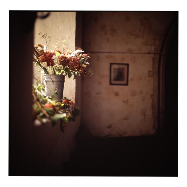 Paul Cooklin, Silence, Giclee Print, Edition of 50 For Sale