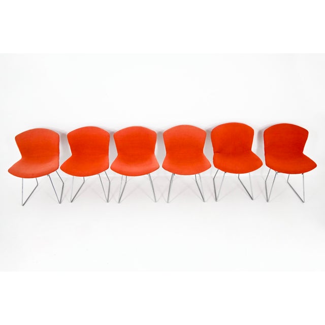 Metal Dining Chairs by Harry Bertoia for Knoll, 1960s, Set of 6 For Sale - Image 7 of 13