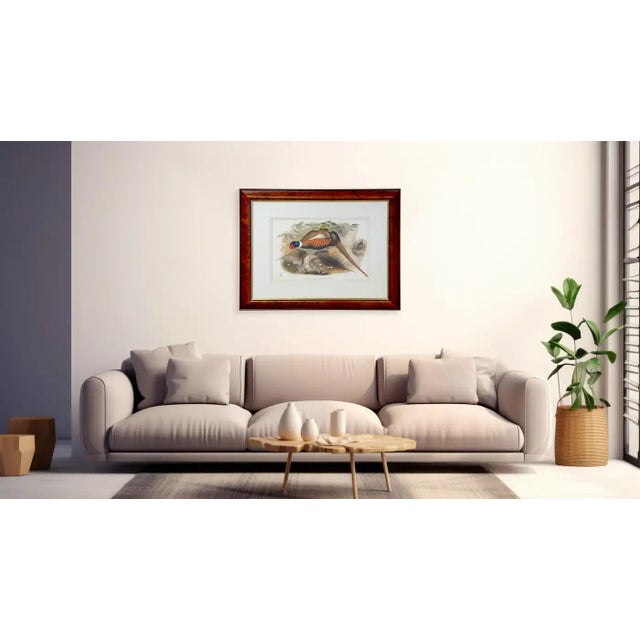 A large print of John Gould & Henry Constantine Richter Pheasants II from his published book " Birds of Australia ". John...