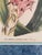 Late 19th Century Walter Hood Fitch and Louis Van Houte 19th Century Botanical Print For Sale - Image 5 of 9