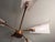 1950s Star-Shaped Wall Lamp in Brass and Acrylic Glass Lumen from Lumen Milano, 1950s For Sale - Image 5 of 10