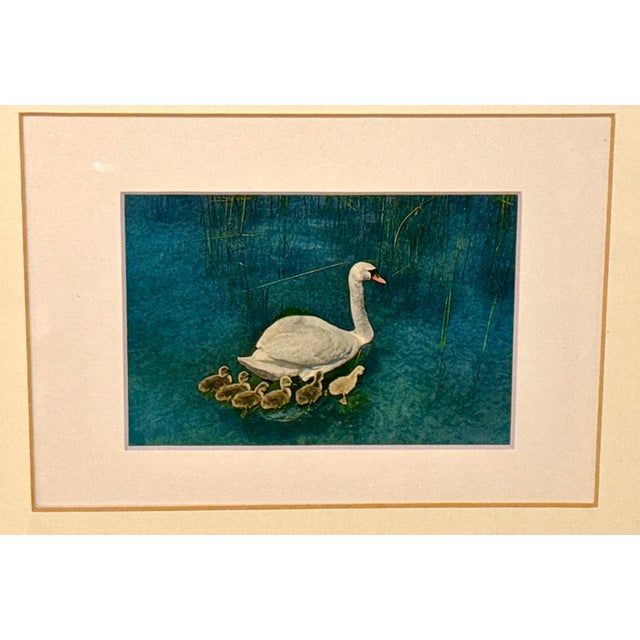 A beautifully framed vintage 1960s Südbild postcard from Munich, Germany, featuring a serene swan gliding across still...