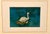 A beautifully framed vintage 1960s Südbild postcard from Munich, Germany, featuring a serene swan gliding across still...