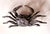 Japanese Bronze Crab Okimono Meiji Signed Yasunosuke For Sale - Image 13 of 13