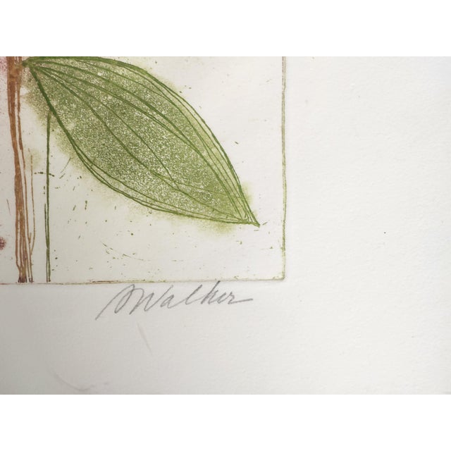 1980s Artist Anne Walker Signed Colored Etching and Aquatint Framed Botanical Wall Art Painting For Sale - Image 13 of 16