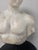 Stone Rh Roman Discus Thrower Classical Sculpture Fragment on Stand For Sale - Image 7 of 12