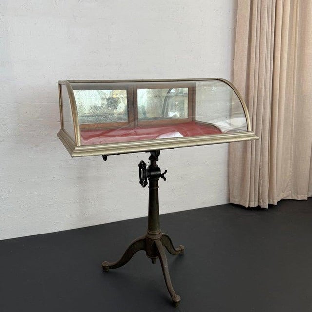 Red Antique Curved Glass Nickel Plated Countertop Display Case For Sale - Image 8 of 11