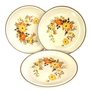 Mid-Century Casual Elegance Hearthside Pattern Dinner Plates- Set of 4