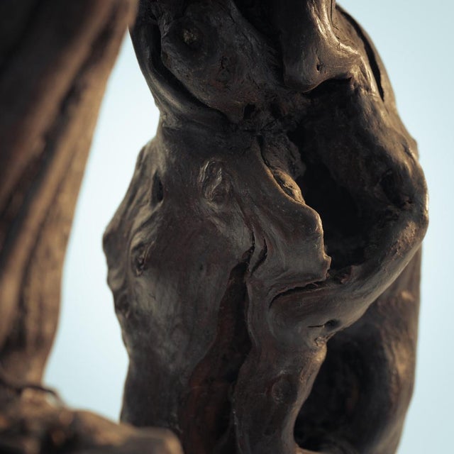 Brutalist Handcrafted Vine Wood and Oak Tripod Bar Stools, France, 1950s, Set of 4 For Sale - Image 12 of 18