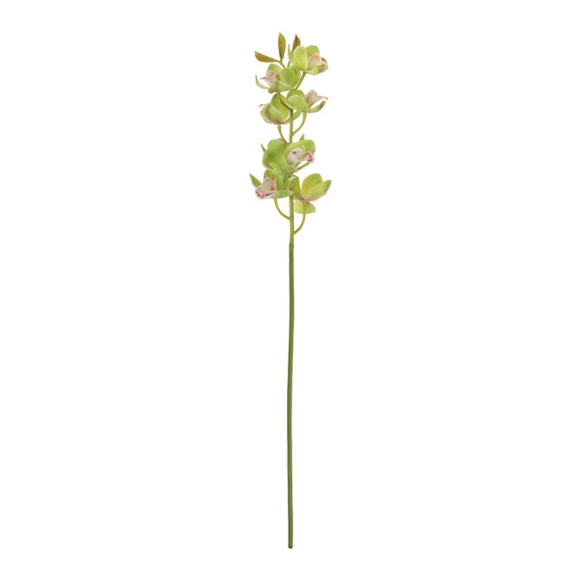 Bring a fresh, modern touch to your floral arrangements with this Green Cymbidium Orchid Stem Set. Featuring soft green...