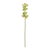 Bring a fresh, modern touch to your floral arrangements with this Green Cymbidium Orchid Stem Set. Featuring soft green...