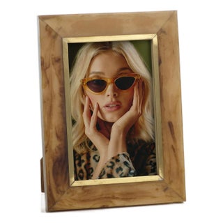 Horn Design Inlaid Photo Frame with Brass Accent For Sale