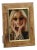 Horn Design Inlaid Photo Frame with Brass Accent For Sale