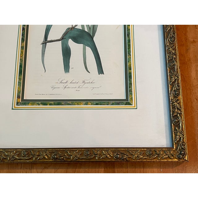 Mid 20th Century Audubon Birds of America (First Edition Royal Octavo) | Antique Prints of Rare Songbird Collection- Set of 4, Framed For Sale In Sacramento - Image 6 of 12