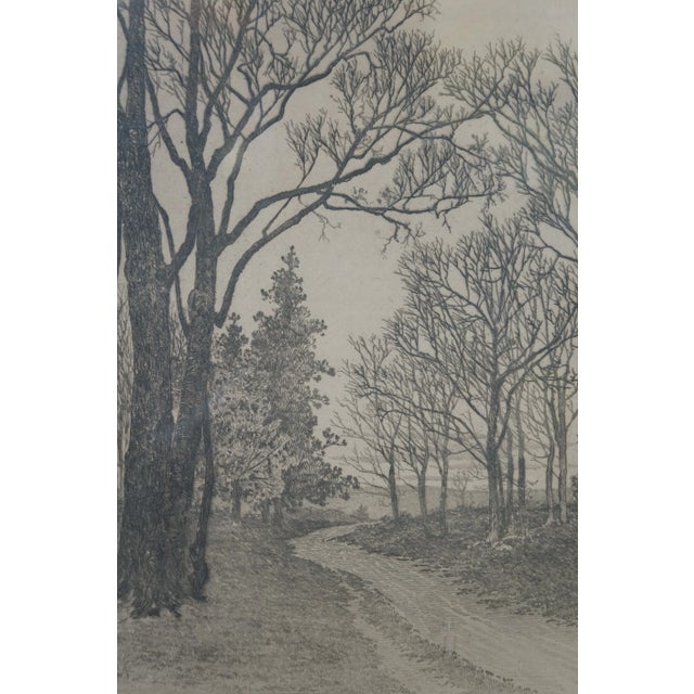 Antique Lh King the Path in the Forest Landscape Etching 20", Framed For Sale - Image 9 of 11