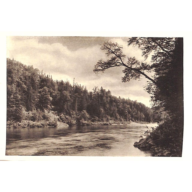 White "Observations on a Salmon River" 1921 Griswold, F. Gray For Sale - Image 8 of 8