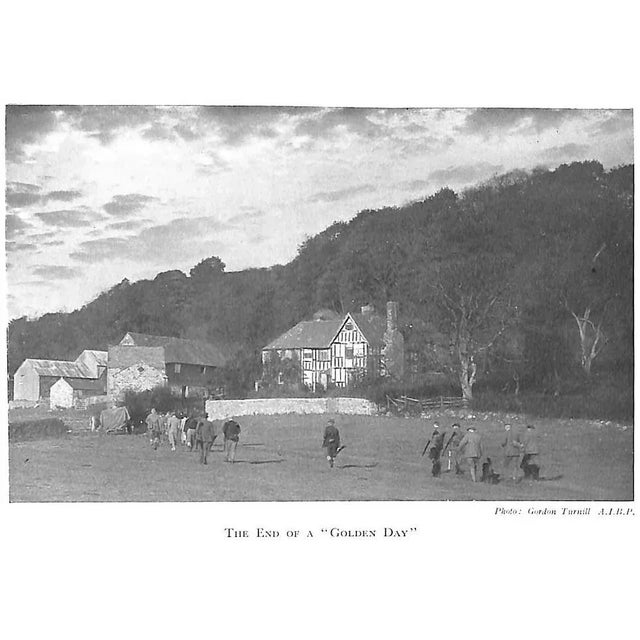 "High Birds and Low" 1950 Richards, Coombe For Sale - Image 9 of 13