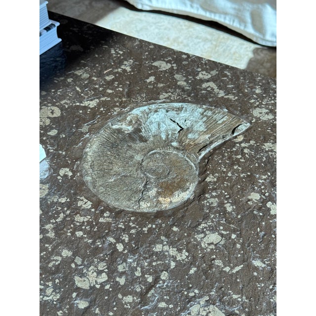 1970s Swabian Oil Shale & Chrome Coffee Table | 10" Ammonite Fossil | Original West German Provenance For Sale In New York - Image 6 of 10
