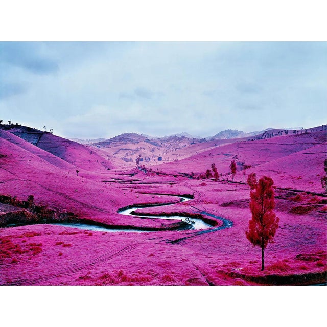 Contemporary Richard Mosse the Enclave Official Exhibition Poster For Sale - Image 3 of 3
