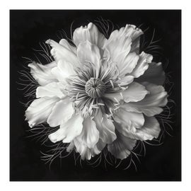 Example of Photography