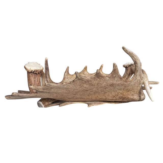Early 21st Century Swiss Black Forest Fallow Deer and Stag Antler Bowl For Sale - Image 5 of 12