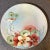 Hutscheneruther Antique Hutschenreuther Selb Bavaria Plate For Sale - Image 4 of 7