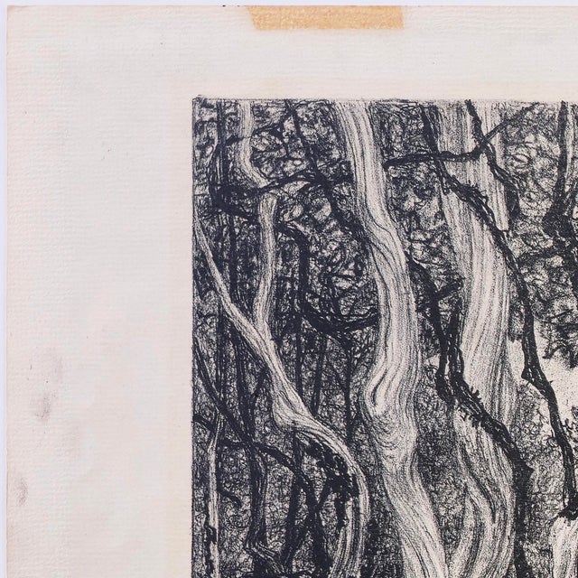 Mid 20th Century Mid 20th Century Janet Turner Original Lithograph · Entanglement · Signed · Edition 2/25 For Sale - Image 5 of 5