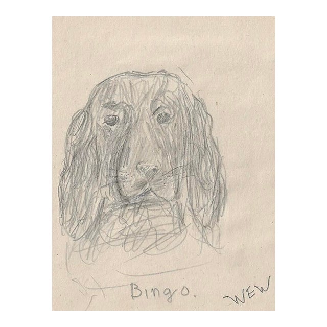 1943 William Wood Bingo the Dog Drawing For Sale