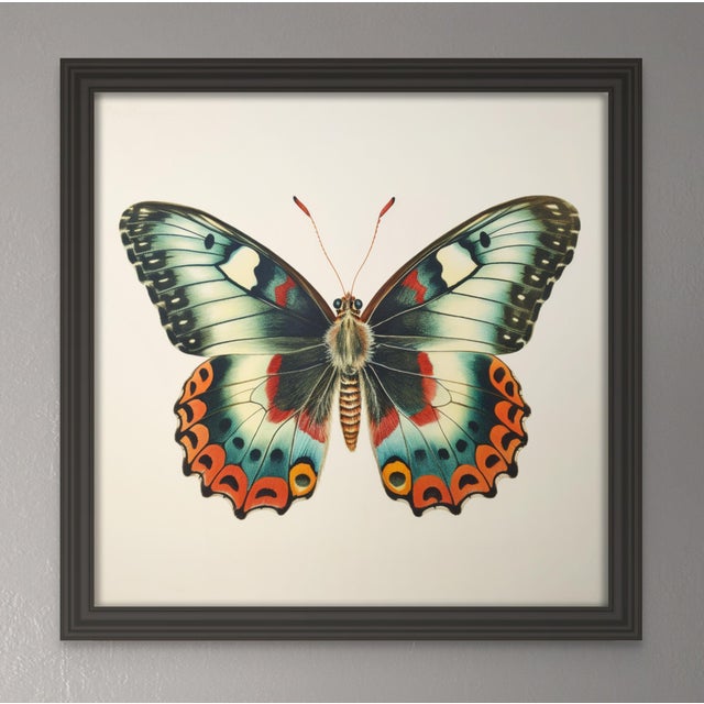 'Butterfly' (1) - Framed Original Art Print. From a series of prints, see my other listings. Dimensions: Print size (in):...