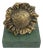 Patrizia Guerresi, Italian Flowe Sculpture, 1986, Bronze For Sale