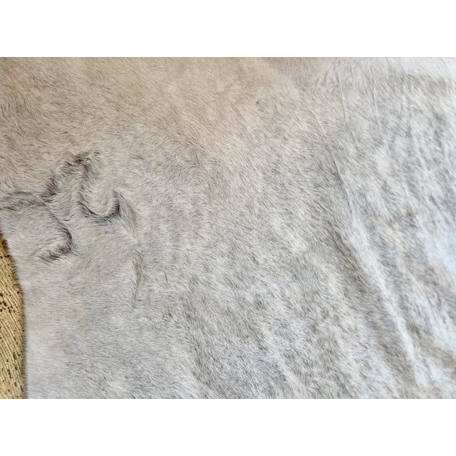 Contemporary Extra Large Natural Gray Brindle Brazilian Cowhide Rug 92" X 100" For Sale - Image 3 of 5