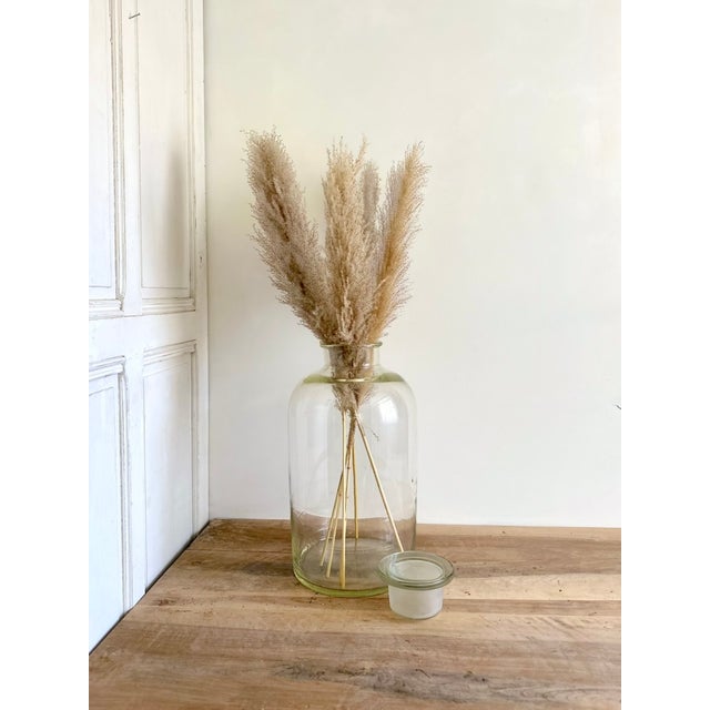 French Laboratory Glass Storage Jar with Fitted Glass Stopper, 1920s For Sale - Image 14 of 16