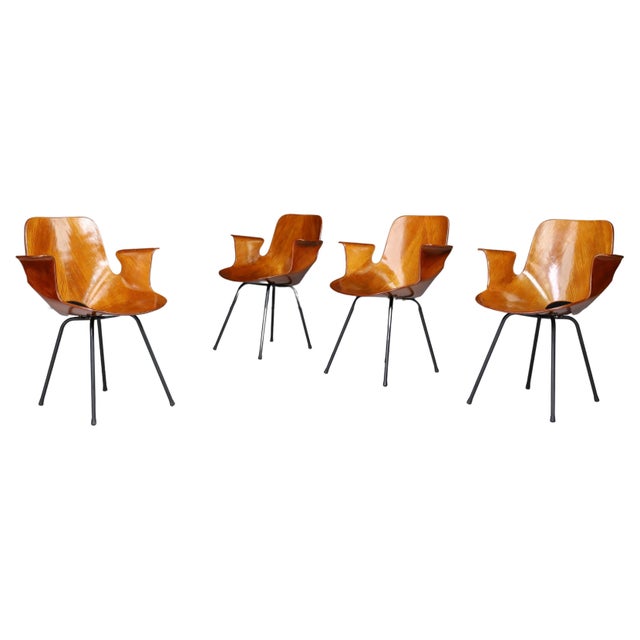 Medea Armchair by Vittorio Nobili for Fratelli Tagliabue, Italy, 1955 For Sale - Image 12 of 12