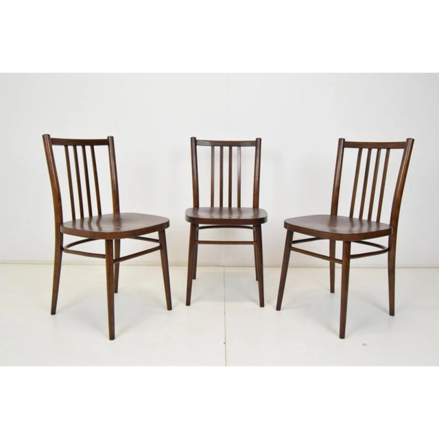 Mid-Century Chairs from TON, 1960s, Set of 3 For Sale - Image 13 of 14