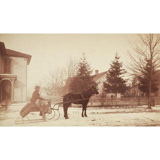 Horse & Sleigh Antique Photograph For Sale