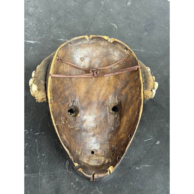 West African Dan Tribe Cowrie Shell Wood Mask For Sale - Image 12 of 12